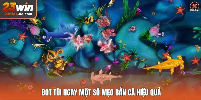 Bot túi ngay một số mẹo bắn cá hiệu quả
