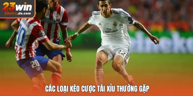 Các loại kèo cược tài xỉu thường gặp