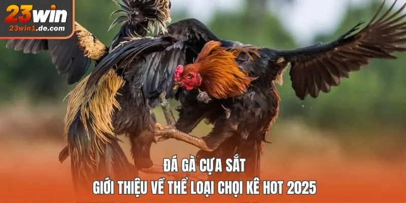 đá gà cựa sắt