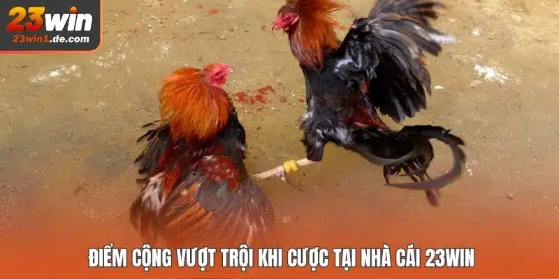 Điểm cộng vượt trội khi cược tại nhà cái 23WIN