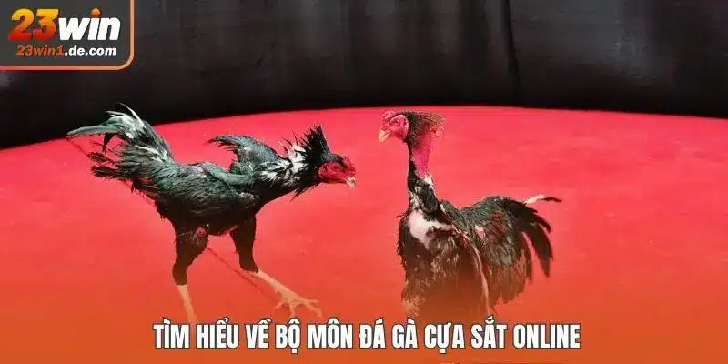 Tìm hiểu về bộ môn đá gà cựa sắt online