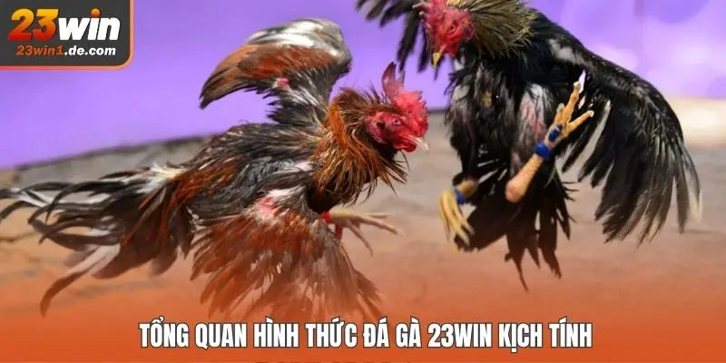 Tổng quan hình thức đá gà 23WIN kịch tính
